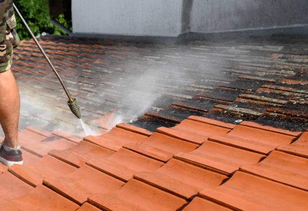Best Affordable Power Washing  in Stone Ridge, VA